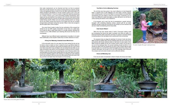 bonsai book
